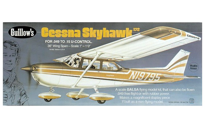 Cessna skyhawk