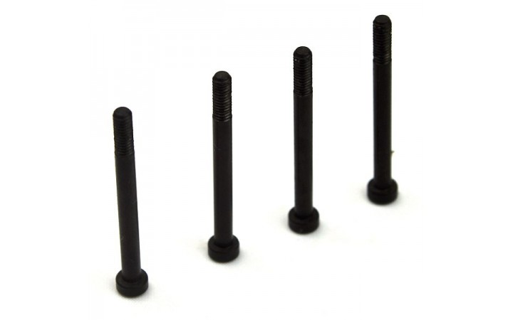 3x30mm Hinge Pin (4pcs) - S10